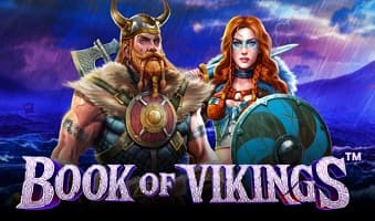 Slot Demo Book of Vikings