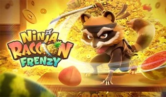 Demo Slot Ninja Raccoon Frenzy