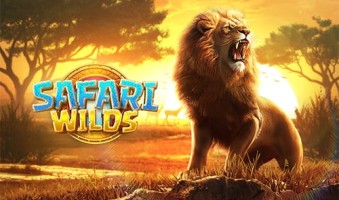 Slot Demo Safari Wilds