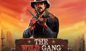 Slot Demo The Wild Gang